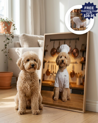 The Chef