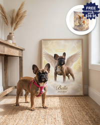 Pet Memorial Gift – Angel Wings & Halo Portrait | The Guardian