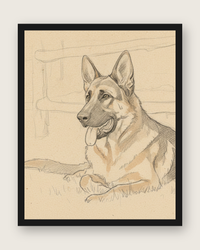 The Sketch