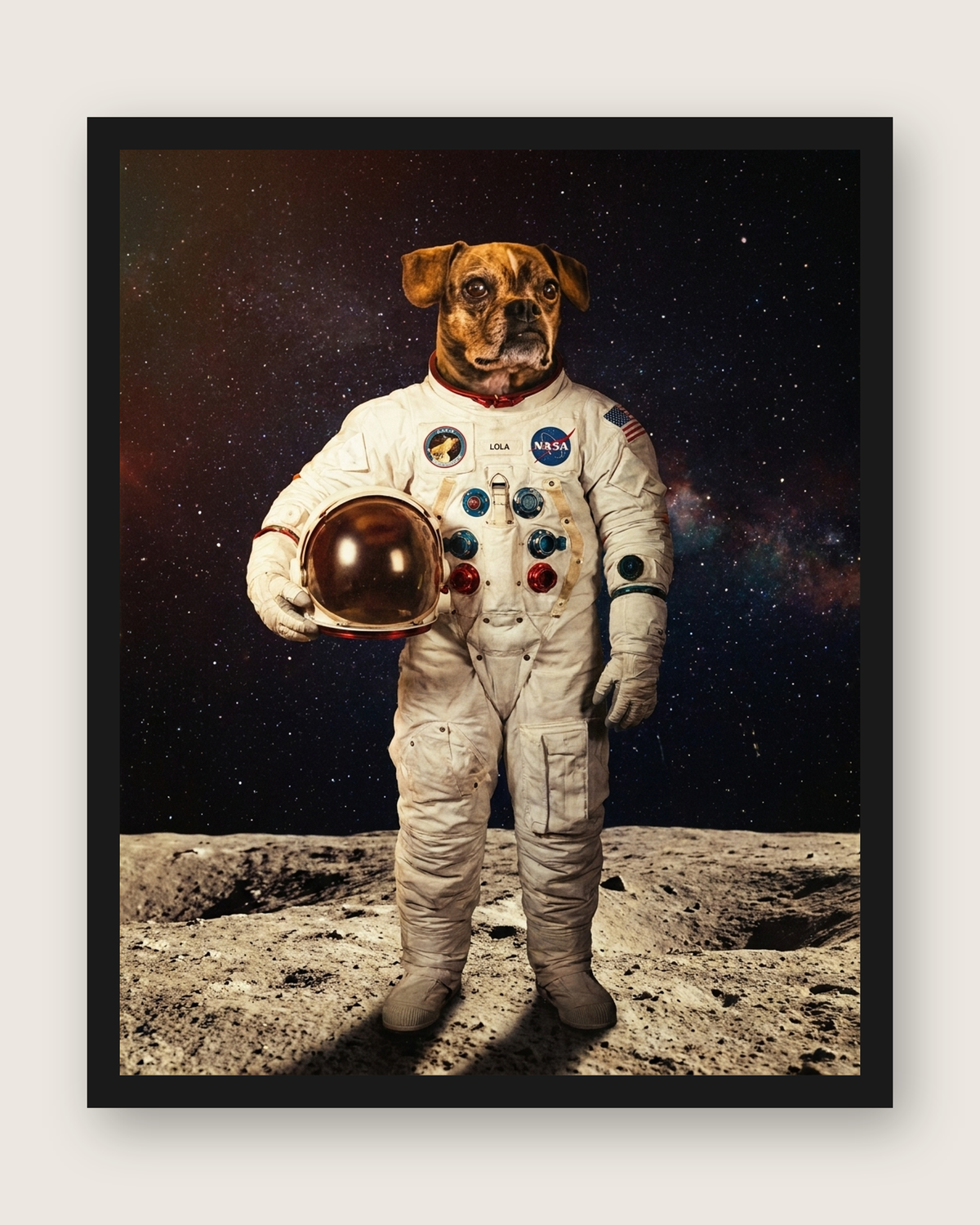 The Astronaut