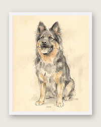 Custom Pet Portrait Sketch – Graphite & Watercolor Art | The Sketch