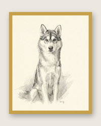 Custom Pet Portrait Sketch – Graphite & Watercolor Art | The Sketch