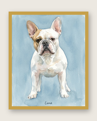 Watercolor Cat & Dog Portrait – Artistic Head Study | The Wash