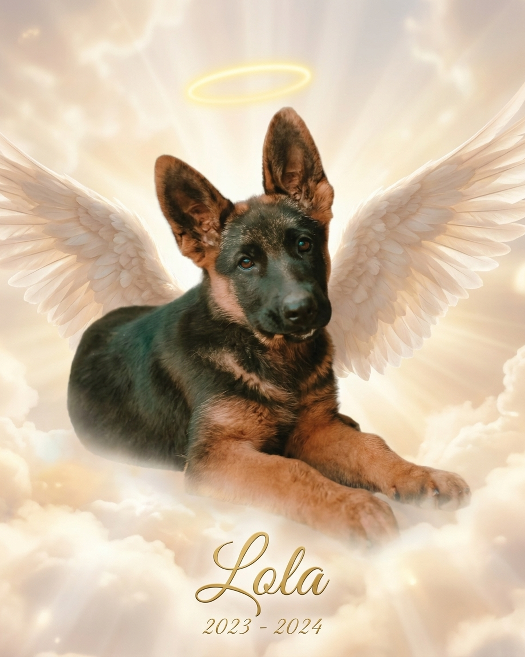 Pet Memorial Gift – Angel Wings & Halo Portrait | The Guardian