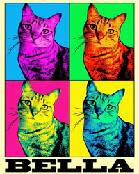 Pop Art Dog & Cat Portrait – Colorful 4-Panel Print | The Pop