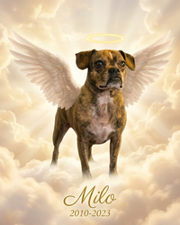 Pet Memorial Gift – Angel Wings & Halo Portrait | The Guardian