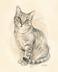 Custom Pet Portrait Sketch – Graphite & Watercolor Art | The Sketch