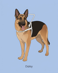 Personalized Pet Portrait – Modern Minimalist Illustration | The Modern