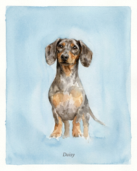 Watercolor Cat & Dog Portrait – Artistic Head Study | The Wash