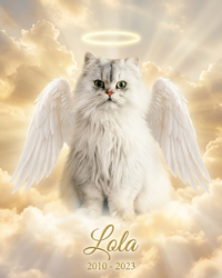 Pet Memorial Gift – Angel Wings & Halo Portrait | The Guardian
