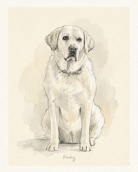 Custom Pet Portrait Sketch – Graphite & Watercolor Art | The Sketch