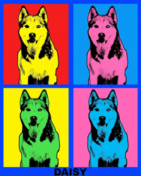 Pop Art Dog & Cat Portrait – Colorful 4-Panel Print | The Pop