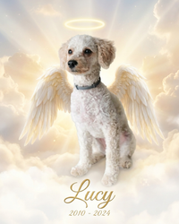 Pet Memorial Gift – Angel Wings & Halo Portrait | The Guardian