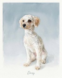 Watercolor Cat & Dog Portrait – Artistic Head Study | The Wash
